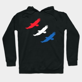 PATRIOTIC EAGLES Hoodie